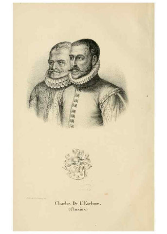 Reproducción/Reproduction 49268517443: Belgique horticole.. Liége.. 