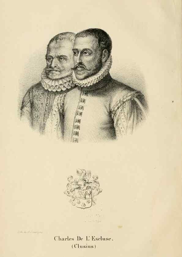 Reproducción/Reproduction 49268517443: Belgique horticole.. Liége.. 