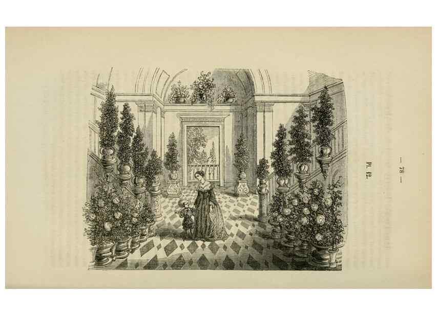 Reproducción/Reproduction 49268793056: Belgique horticole.. Liége.. 
