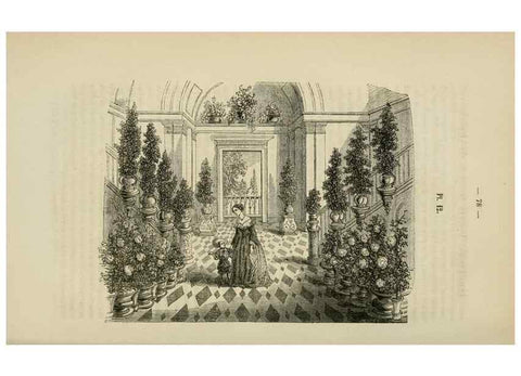 Reproducción/Reproduction 49268793056: Belgique horticole.. Liége.. 