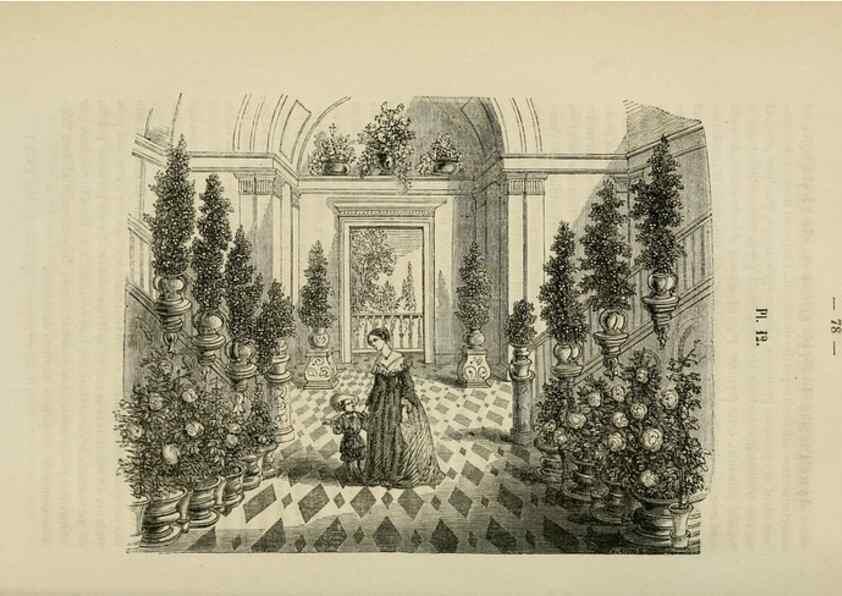 Reproducción/Reproduction 49268793056: Belgique horticole.. Liége.. 