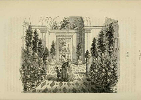 Reproducción/Reproduction 49268793056: Belgique horticole.. Liége.. 