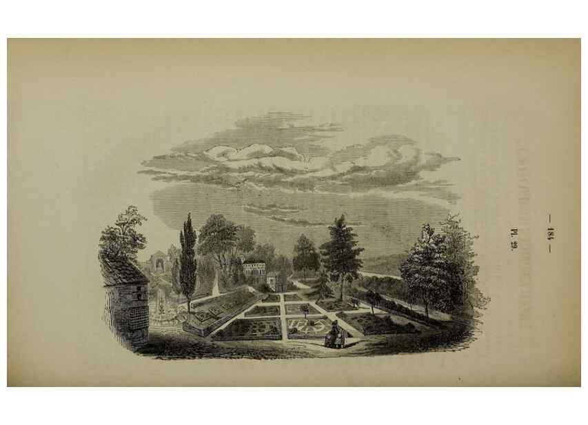 Reproducción/Reproduction 49265151736: Belgique horticole.. Liége.. 