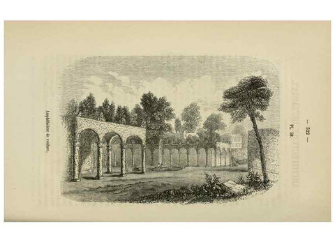 Reproducción/Reproduction 49269002117: Belgique horticole.. Liége.. 
