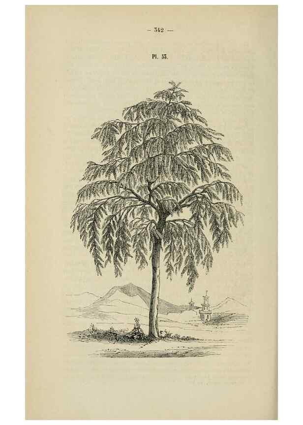 Reproducción/Reproduction 49269003312: Belgique horticole.. Liége.. 