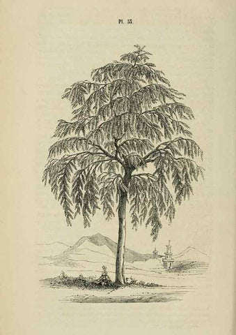 Reproducción/Reproduction 49269003312: Belgique horticole.. Liége.. 