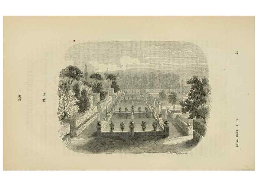Reproducción/Reproduction 49268346053: Belgique horticole.. Liége.. 
