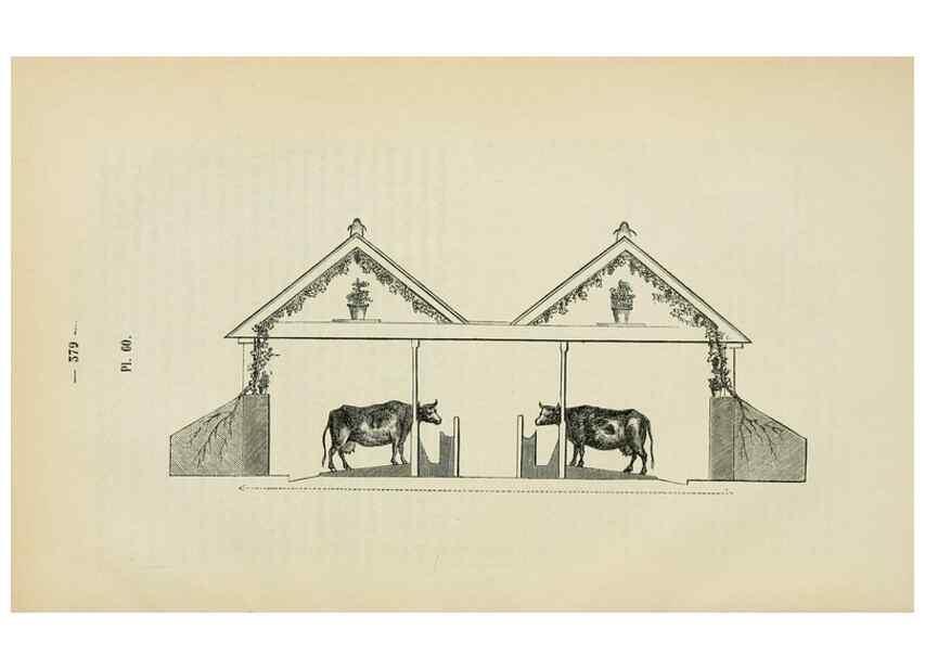 Reproducción/Reproduction 49269005782: Belgique horticole.. Liége.. 