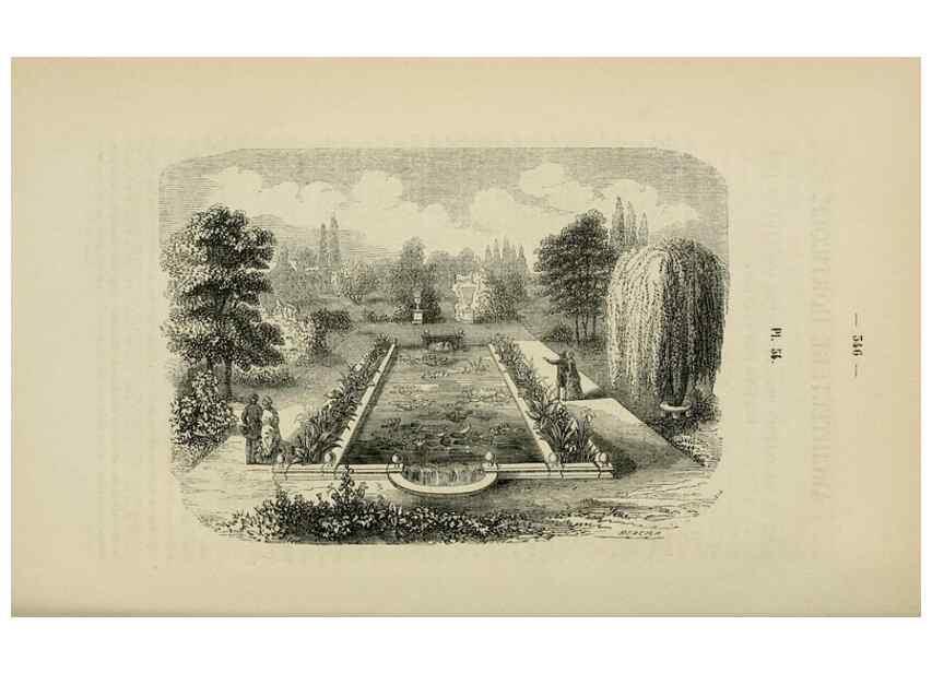 Reproducción/Reproduction 49268805711: Belgique horticole.. Liége.. 