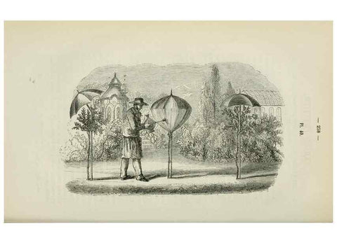 Reproducción/Reproduction 49268800526: Belgique horticole.. Liége.. 