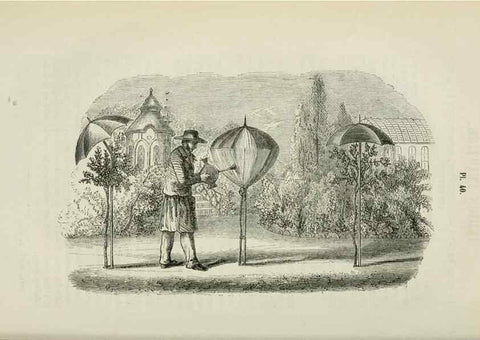 Reproducción/Reproduction 49268800526: Belgique horticole.. Liége.. 