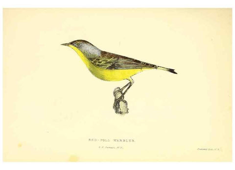 Reproducción/Reproduction 49352915031: Rural hours. New York,George P. Putnam,1851.. 