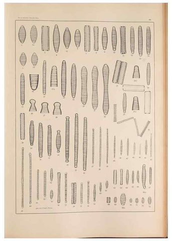 Reproducción/Reproduction 49352428406: Atlas der Diatomaceen-Kunde /. Leipzig :O.R. Reisland,[1874-19.. 