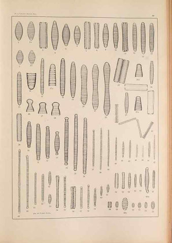 Reproducción/Reproduction 49352428406: Atlas der Diatomaceen-Kunde /. Leipzig :O.R. Reisland,[1874-19.. 