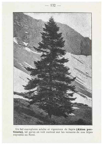 Reproducción/Reproduction 49345775597: Nouvelle flore coloriée de poche des Alpes et des Pyrénées.. Paris,Klincksieck,1906-1912.. 