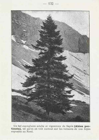 Reproducción/Reproduction 49345775597: Nouvelle flore coloriée de poche des Alpes et des Pyrénées.. Paris,Klincksieck,1906-1912.. 