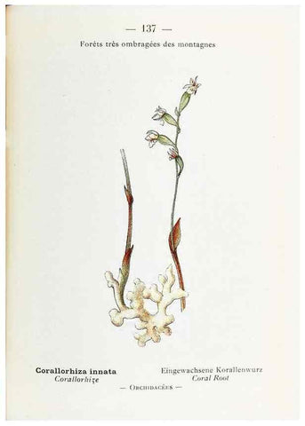 Reproducción/Reproduction 49345565556: Nouvelle flore coloriée de poche des Alpes et des Pyrénées.. Paris,Klincksieck,1906-1912.. 