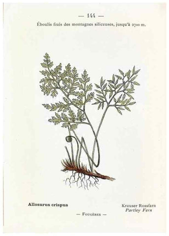 Reproducción/Reproduction 49345107403: Nouvelle flore coloriée de poche des Alpes et des Pyrénées.. Paris,Klincksieck,1906-1912.. 