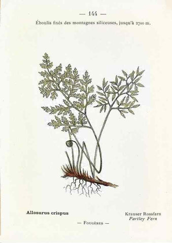 Reproducción/Reproduction 49345107403: Nouvelle flore coloriée de poche des Alpes et des Pyrénées.. Paris,Klincksieck,1906-1912.. 