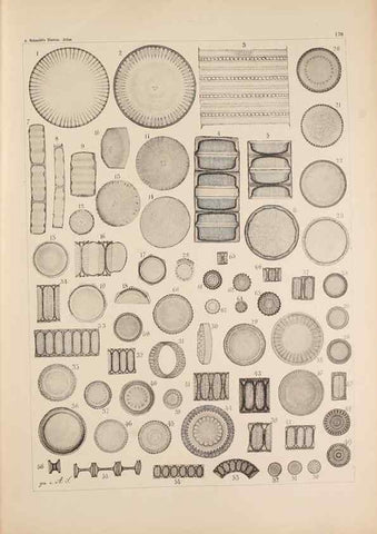 Reproducción/Reproduction 49388728118: Atlas der Diatomaceen-Kunde /. Leipzig :O.R. Reisland,[1874-19.. 