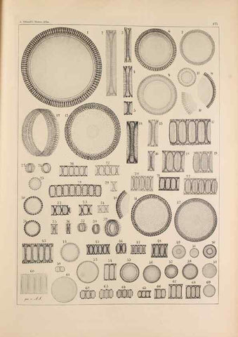 Reproducción/Reproduction 49389400002: Atlas der Diatomaceen-Kunde /. Leipzig :O.R. Reisland,[1874-19.. 