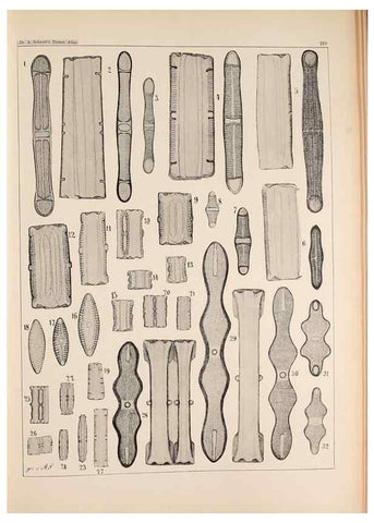 Reproducción/Reproduction 49385790947: Atlas der Diatomaceen-Kunde /. Leipzig :O.R. Reisland,[1874-19.. 