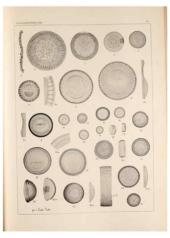 Reproducción/Reproduction 49385795777: Atlas der Diatomaceen-Kunde /. Leipzig :O.R. Reisland,[1874-19.. 