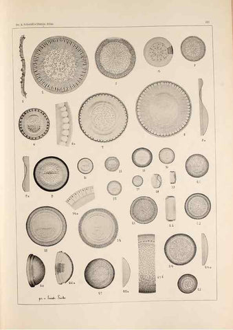Reproducción/Reproduction 49385795777: Atlas der Diatomaceen-Kunde /. Leipzig :O.R. Reisland,[1874-19.. 