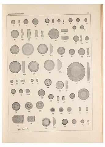 Reproducción/Reproduction 49385597286: Atlas der Diatomaceen-Kunde /. Leipzig :O.R. Reisland,[1874-19.. 