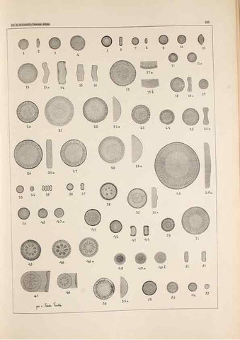 Reproducción/Reproduction 49385597286: Atlas der Diatomaceen-Kunde /. Leipzig :O.R. Reisland,[1874-19.. 