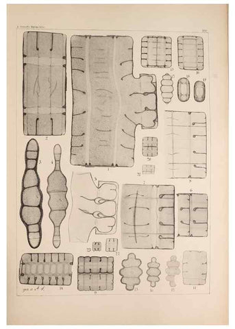 Reproducción/Reproduction 49385588616: Atlas der Diatomaceen-Kunde /. Leipzig :O.R. Reisland,[1874-19.. 