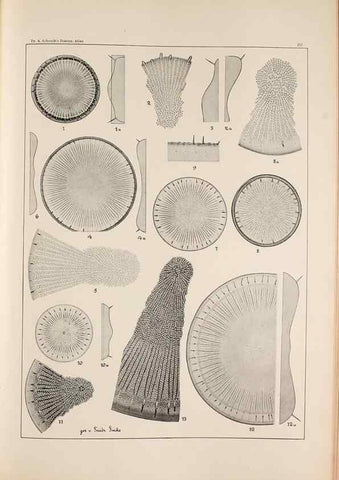 Reproducción/Reproduction 49385598701: Atlas der Diatomaceen-Kunde /. Leipzig :O.R. Reisland,[1874-19.. 