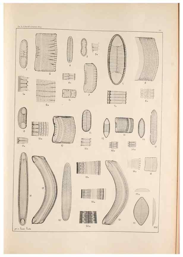 Reproducción/Reproduction 49385798802: Atlas der Diatomaceen-Kunde /. Leipzig :O.R. Reisland,[1874-19.. 