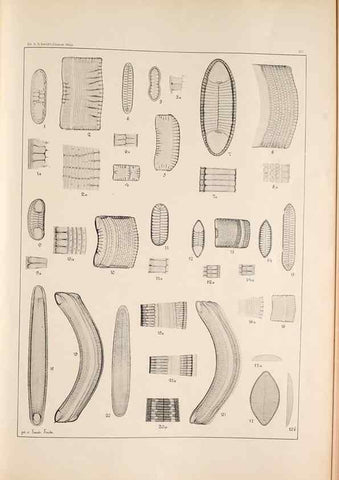 Reproducción/Reproduction 49385798802: Atlas der Diatomaceen-Kunde /. Leipzig :O.R. Reisland,[1874-19.. 
