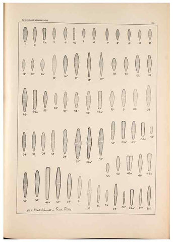 Reproducción/Reproduction 49385600941: Atlas der Diatomaceen-Kunde /. Leipzig :O.R. Reisland,[1874-19.. 