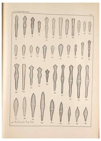 Reproducción/Reproduction 49385134903: Atlas der Diatomaceen-Kunde /. Leipzig :O.R. Reisland,[1874-19.. 
