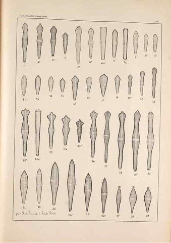 Reproducción/Reproduction 49385134903: Atlas der Diatomaceen-Kunde /. Leipzig :O.R. Reisland,[1874-19.. 