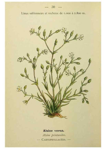 Reproducción/Reproduction 49345612082: Nouvelle flore coloriée de poche des Alpes et des Pyrénées.. Paris,Klincksieck,1906-1912.. 