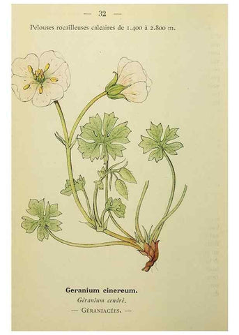 Reproducción/Reproduction 49345399551: Nouvelle flore coloriée de poche des Alpes et des Pyrénées.. Paris,Klincksieck,1906-1912.. 