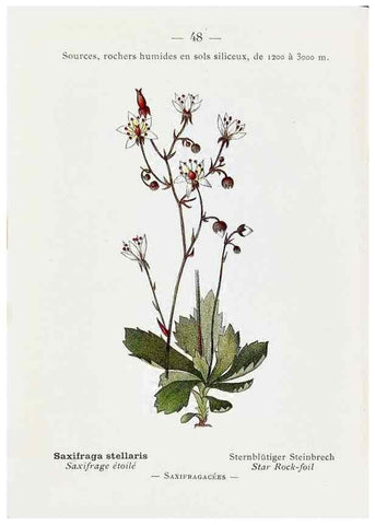 Reproducción/Reproduction 49345051443: Nouvelle flore coloriée de poche des Alpes et des Pyrénées.. Paris,Klincksieck,1906-1912.. 