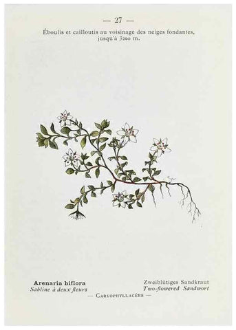Reproducción/Reproduction 49345043023: Nouvelle flore coloriée de poche des Alpes et des Pyrénées.. Paris,Klincksieck,1906-1912.. 