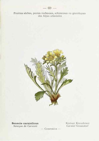 Reproducción/Reproduction 49345747362: Nouvelle flore coloriée de poche des Alpes et des Pyrénées.. Paris,Klincksieck,1906-1912.. 