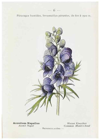 Reproducción/Reproduction 49345708172: Nouvelle flore coloriée de poche des Alpes et des Pyrénées.. Paris,Klincksieck,1906-1912.. 