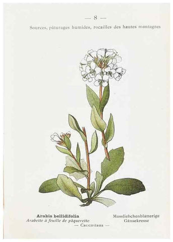 Reproducción/Reproduction 49345035718: Nouvelle flore coloriée de poche des Alpes et des Pyrénées.. Paris,Klincksieck,1906-1912.. 