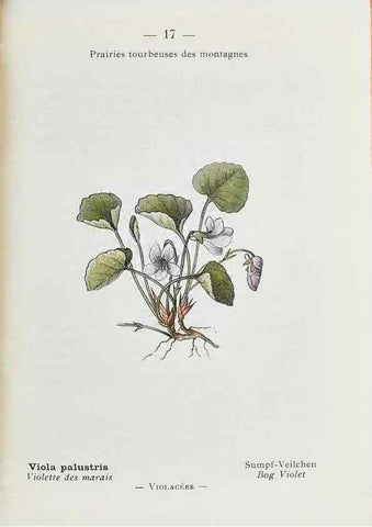 Reproducción/Reproduction 49345712557: Nouvelle flore coloriée de poche des Alpes et des Pyrénées.. Paris,Klincksieck,1906-1912.. 