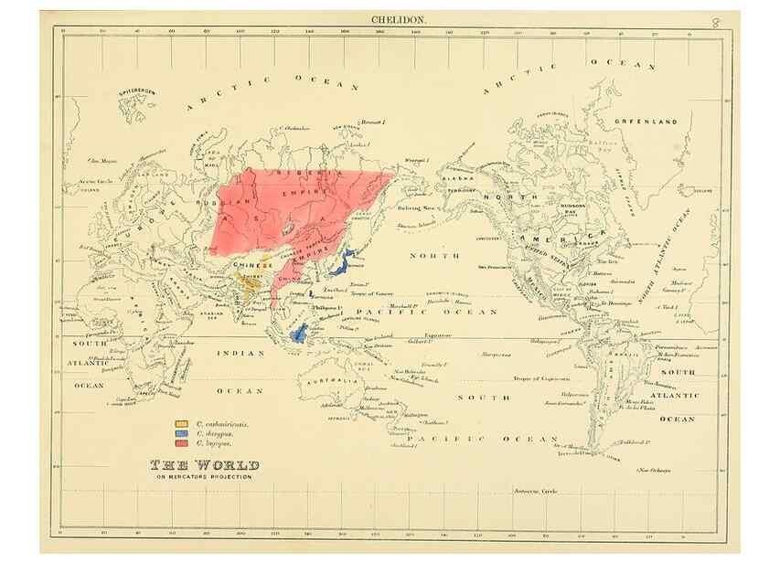Reproducción/Reproduction 49522103653: A monograph of the Hirundinidae or family of swallows. London :Henry Sotheran & Co.,1885-1894.. 