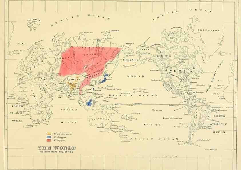 Reproducción/Reproduction 49522103653: A monograph of the Hirundinidae or family of swallows. London :Henry Sotheran & Co.,1885-1894.. 