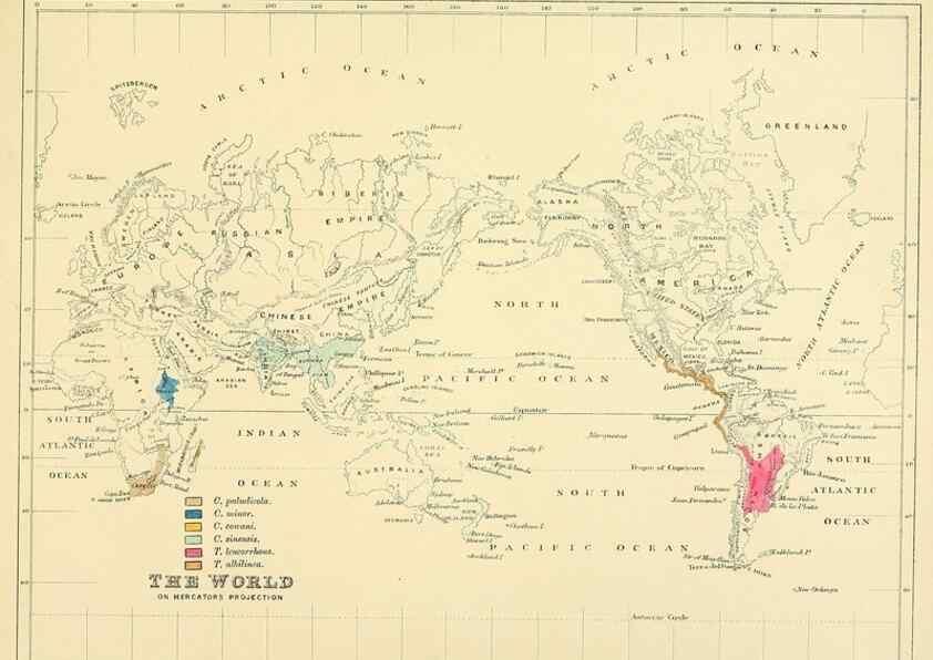 Reproducción/Reproduction 49522108638: A monograph of the Hirundinidae or family of swallows. London :Henry Sotheran & Co.,1885-1894.. 
