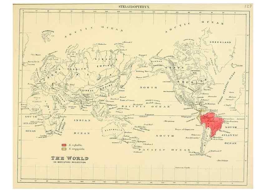 Reproducción/Reproduction 49522132513: A monograph of the Hirundinidae or family of swallows. London :Henry Sotheran & Co.,1885-1894.. 