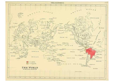 Reproducción/Reproduction 49522132513: A monograph of the Hirundinidae or family of swallows. London :Henry Sotheran & Co.,1885-1894.. 